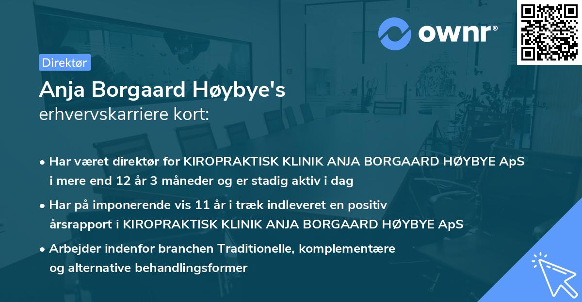 Anja Borgaard Høybye's erhvervskarriere kort