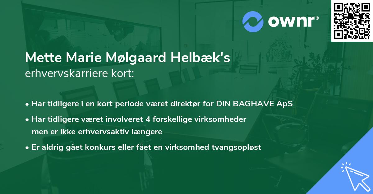 Mette Marie Mølgaard Helbæk's erhvervskarriere kort