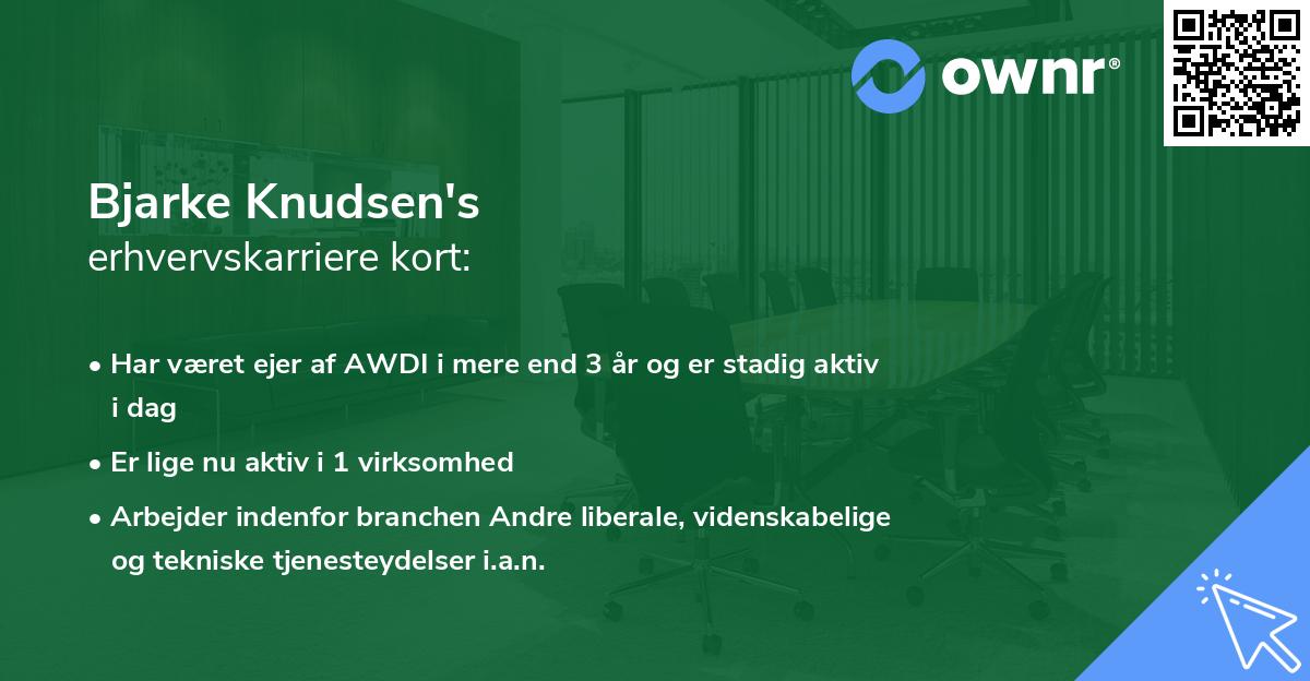 Bjarke Knudsen's erhvervskarriere kort