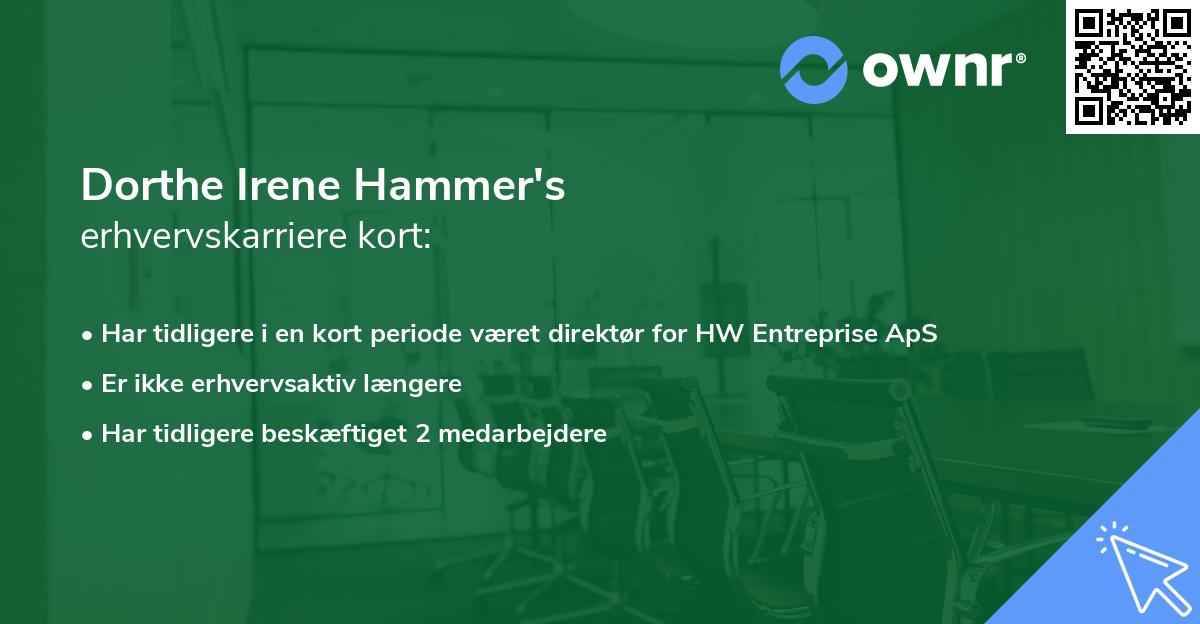 Dorthe Irene Hammer's erhvervskarriere kort