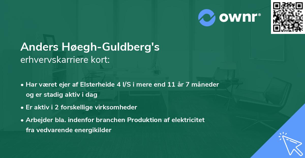 Anders Høegh-Guldberg's erhvervskarriere kort