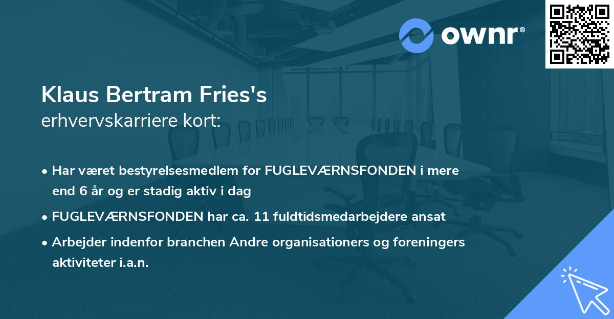 Klaus Bertram Fries's erhvervskarriere kort