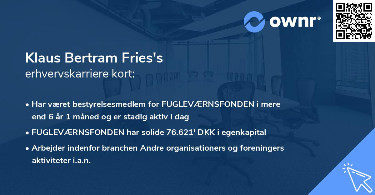 Klaus Bertram Fries's erhvervskarriere kort