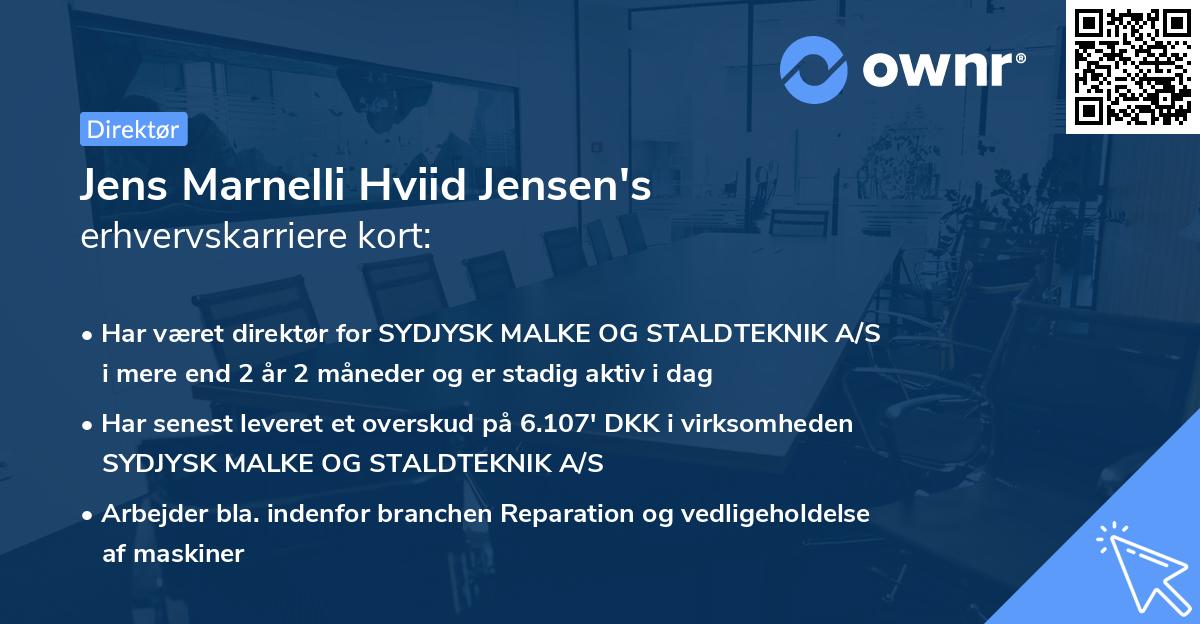 Jens Marnelli Hviid Jensen's erhvervskarriere kort