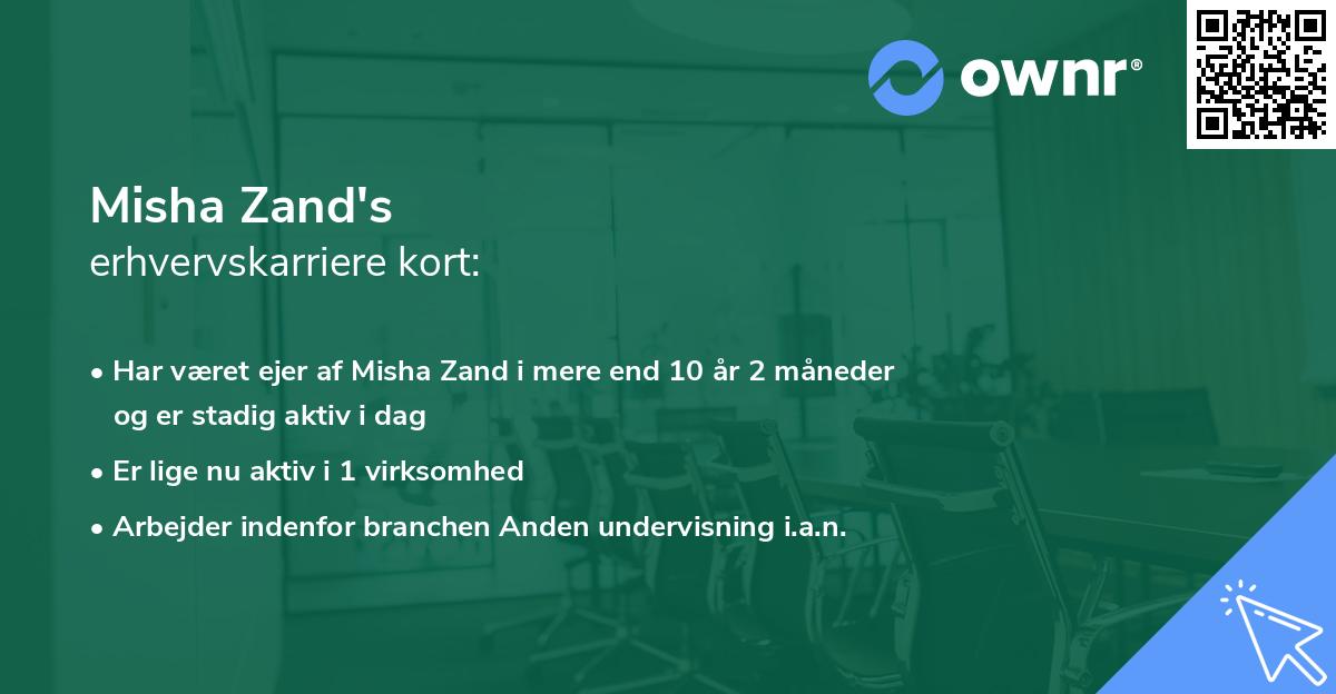 Misha Zand's erhvervskarriere kort