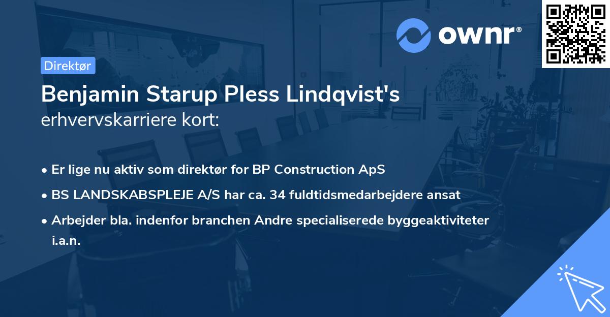 Benjamin Starup Pless Lindqvist's erhvervskarriere kort