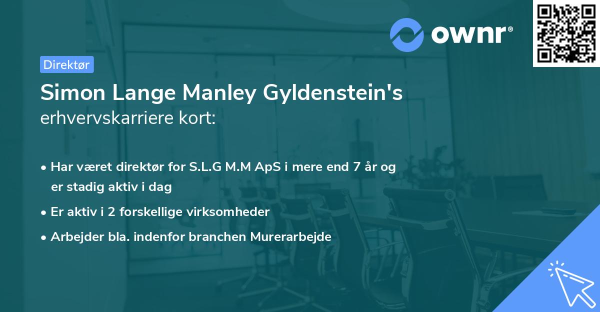 Simon Lange Manley Gyldenstein's erhvervskarriere kort