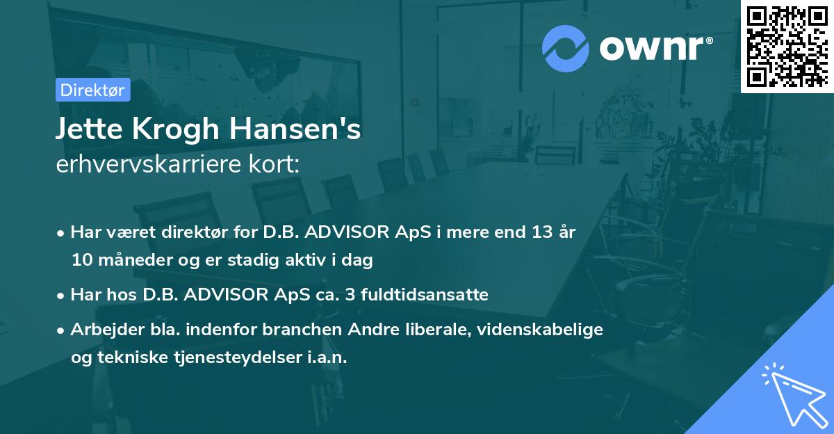 Jette Krogh Hansen's erhvervskarriere kort