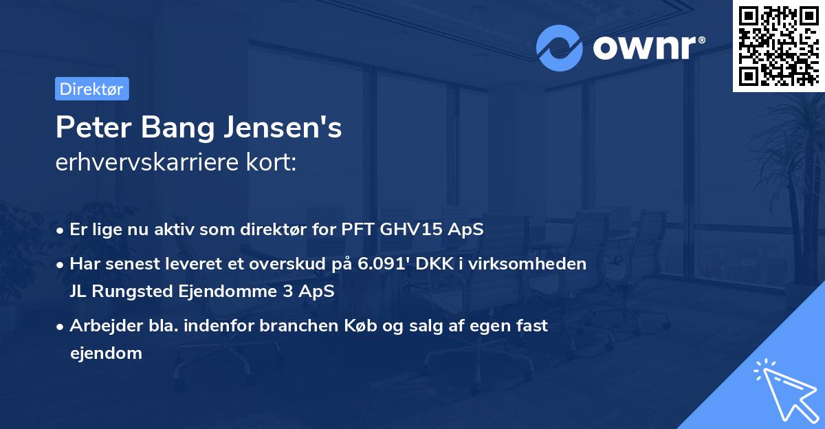 Peter Bang Jensen's erhvervskarriere kort