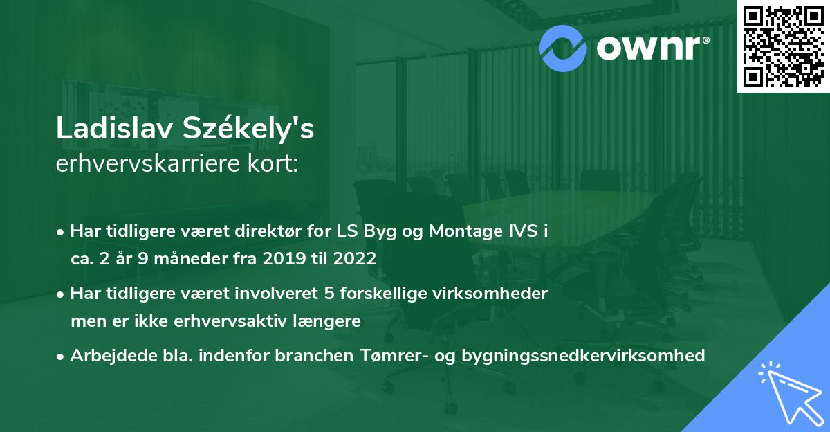 Ladislav Székely's erhvervskarriere kort