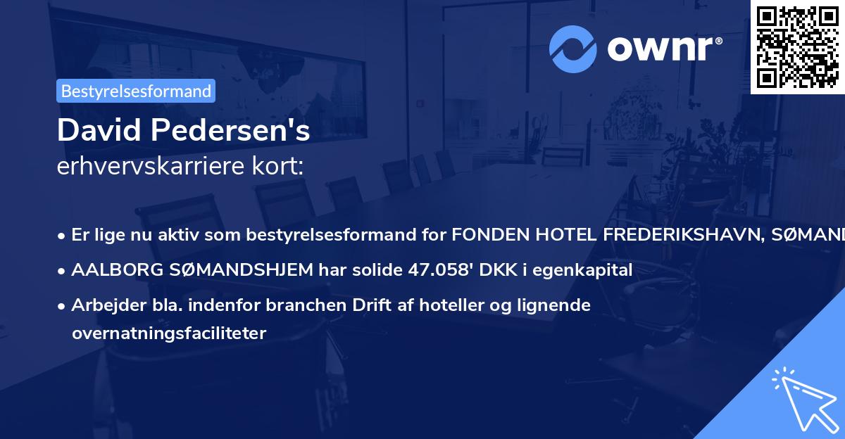 David Pedersen's erhvervskarriere kort