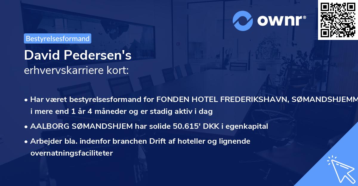 David Pedersen's erhvervskarriere kort