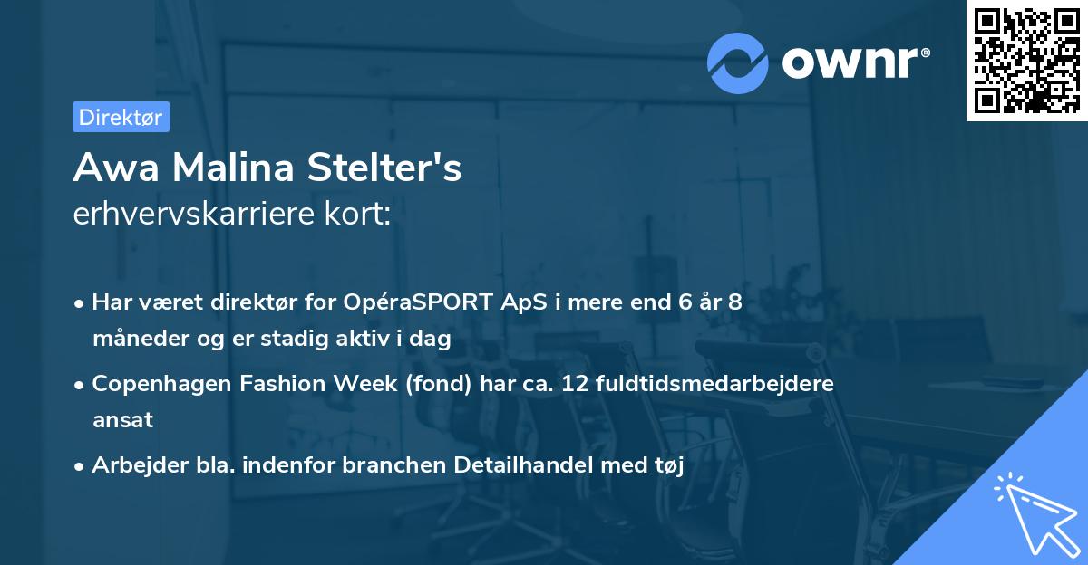 Awa Malina Stelter's erhvervskarriere kort