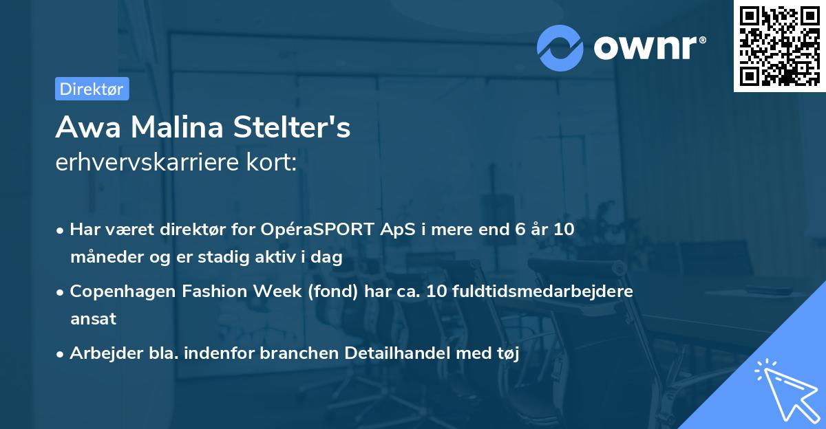 Awa Malina Stelter's erhvervskarriere kort