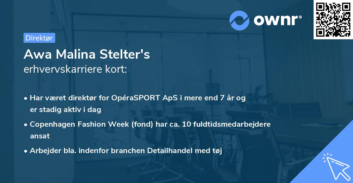 Awa Malina Stelter's erhvervskarriere kort