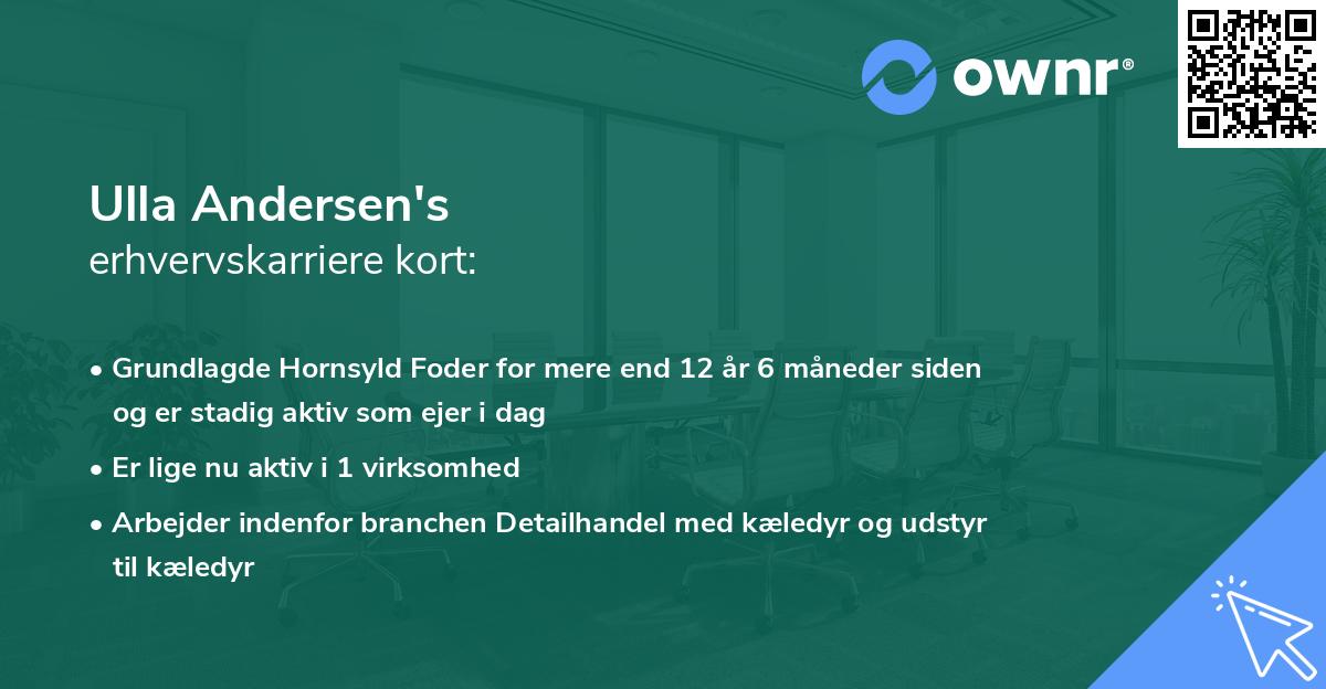 Ulla Andersen's erhvervskarriere kort