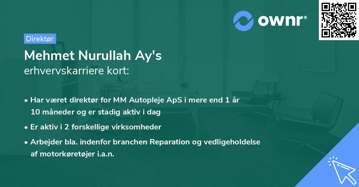 Mehmet Nurullah Ay's erhvervskarriere kort