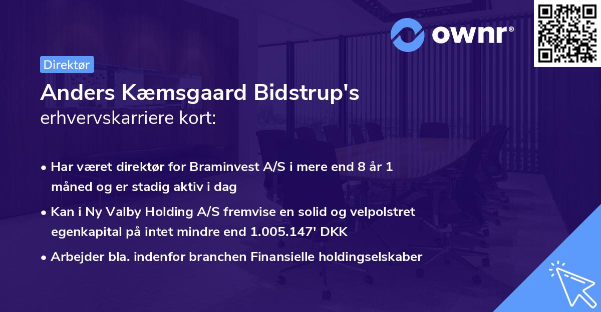 Anders Kæmsgaard Bidstrup's erhvervskarriere kort