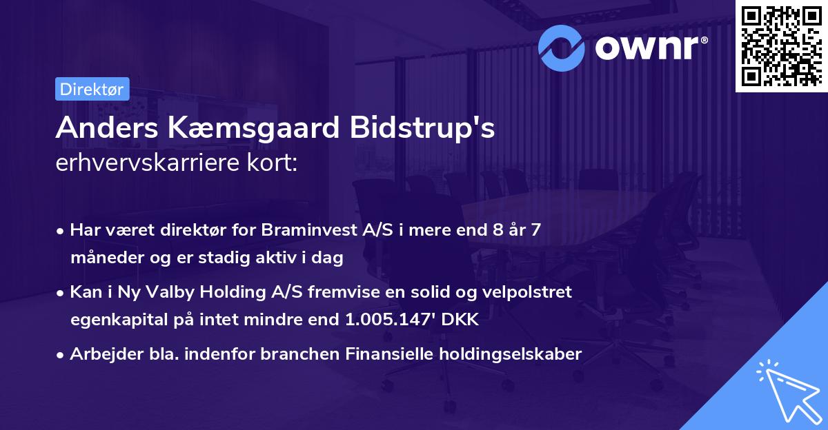 Anders Kæmsgaard Bidstrup's erhvervskarriere kort