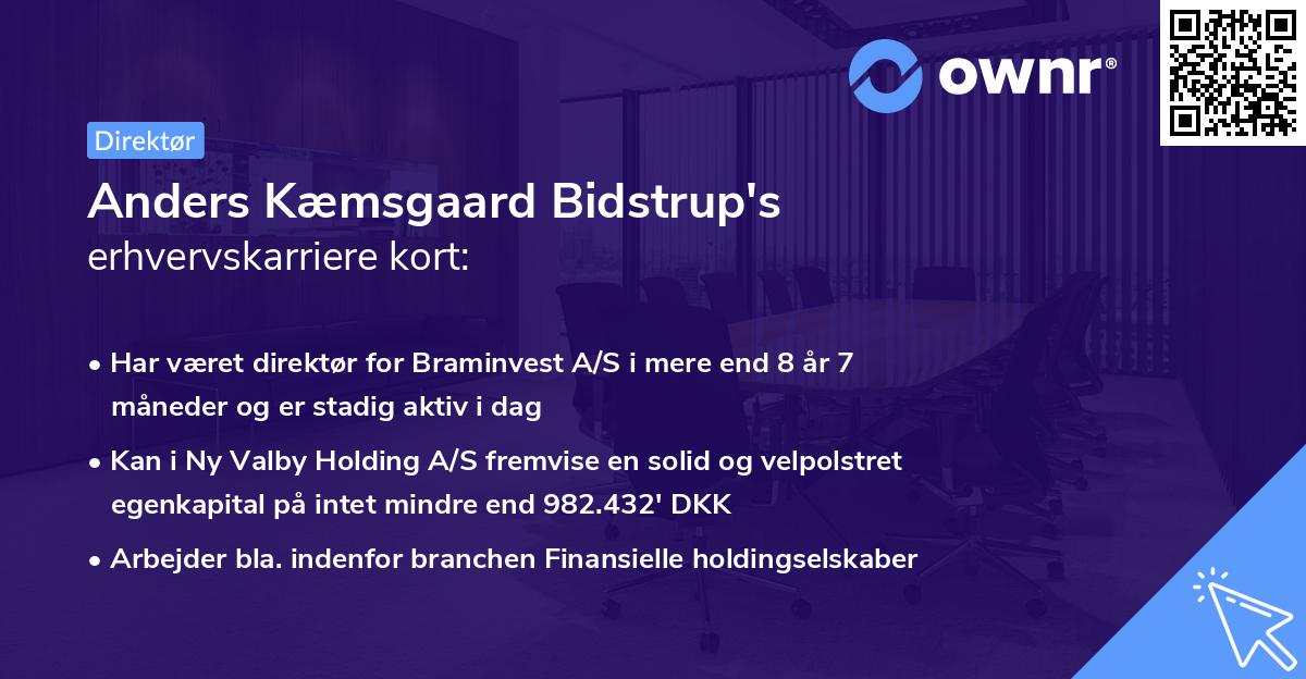 Anders Kæmsgaard Bidstrup's erhvervskarriere kort