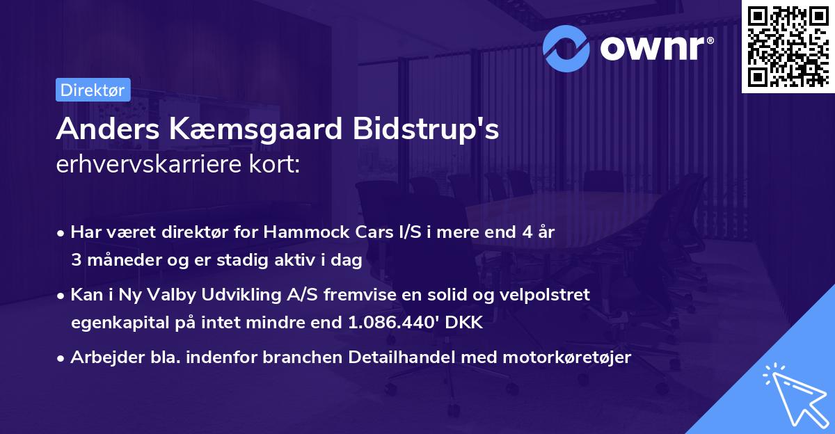 Anders Kæmsgaard Bidstrup's erhvervskarriere kort