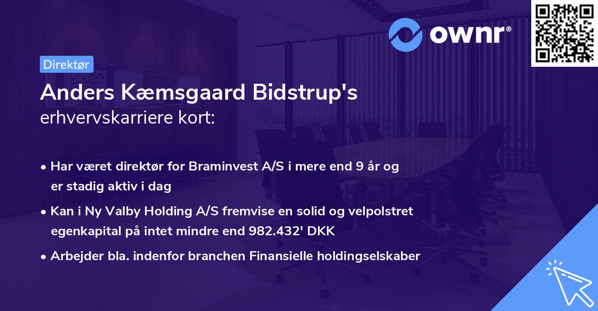 Anders Kæmsgaard Bidstrup's erhvervskarriere kort