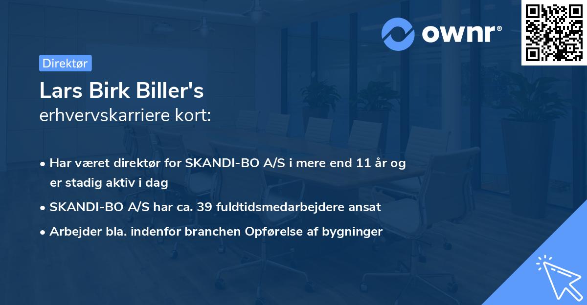 Lars Birk Biller's erhvervskarriere kort