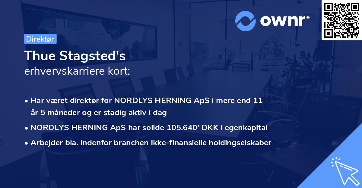 Thue Stagsted's erhvervskarriere kort