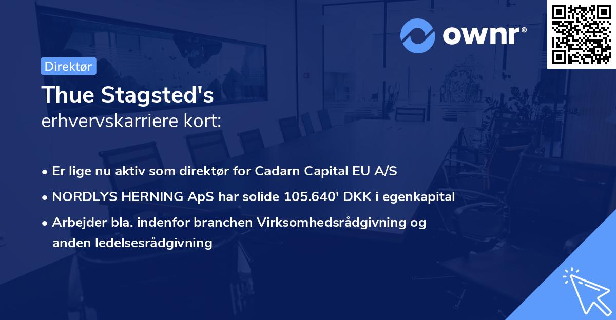 Thue Stagsted's erhvervskarriere kort