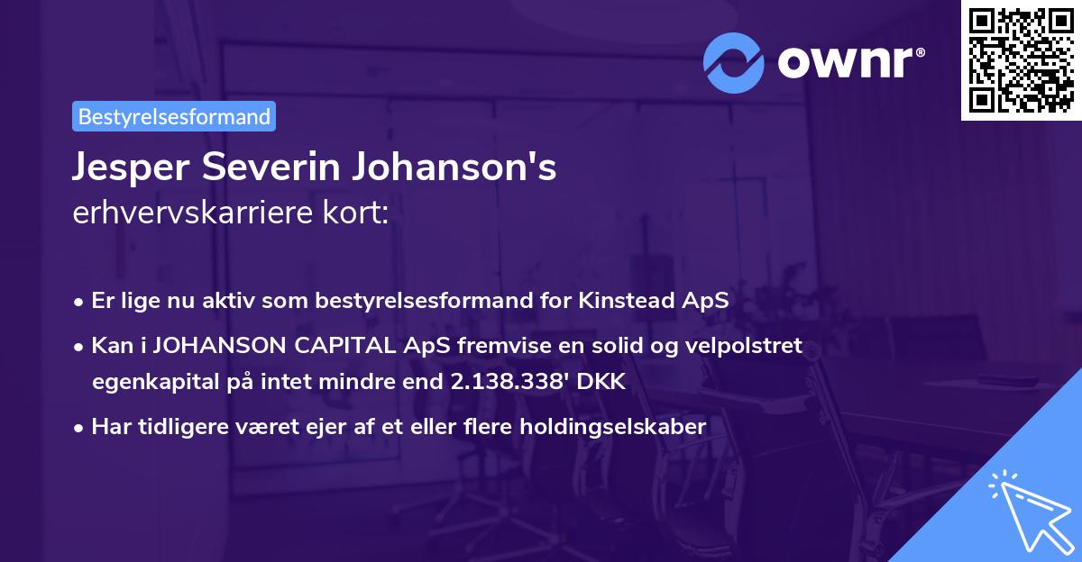 Jesper Severin Johanson's erhvervskarriere kort