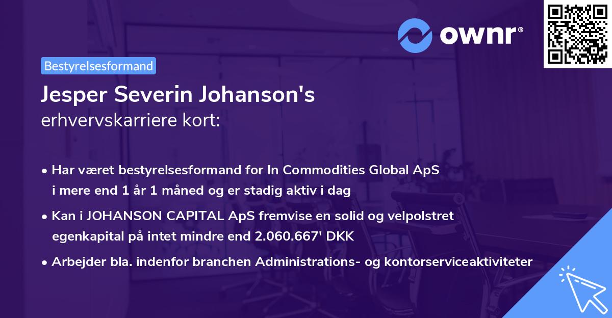 Jesper Severin Johanson's erhvervskarriere kort