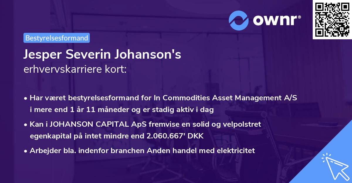 Jesper Severin Johanson's erhvervskarriere kort