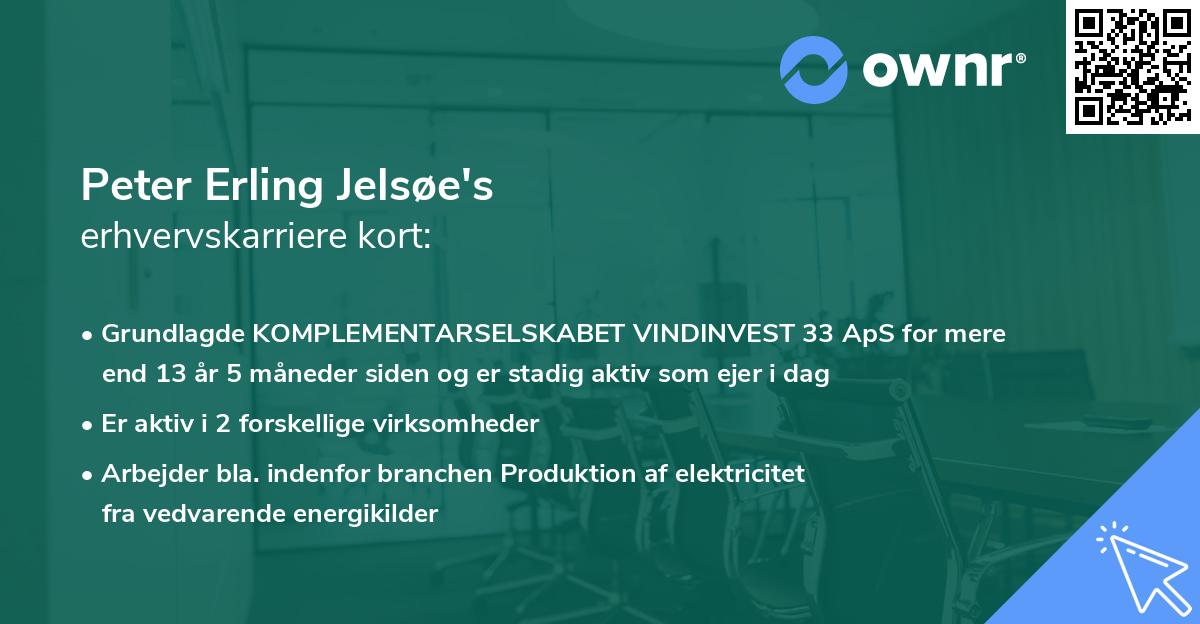 Peter Erling Jelsøe's erhvervskarriere kort