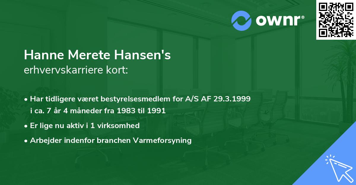 Hanne Merete Hansen's erhvervskarriere kort