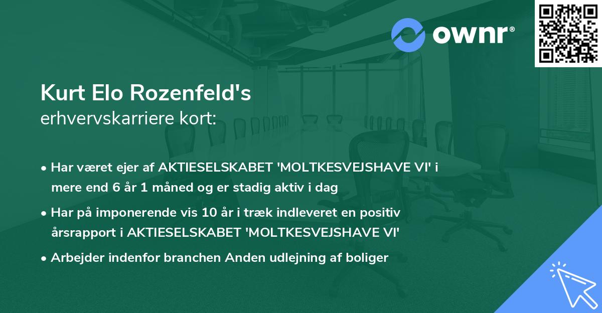 Kurt Elo Rozenfeld's erhvervskarriere kort