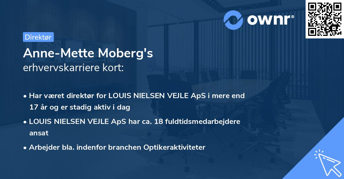 Anne-Mette Moberg's erhvervskarriere kort