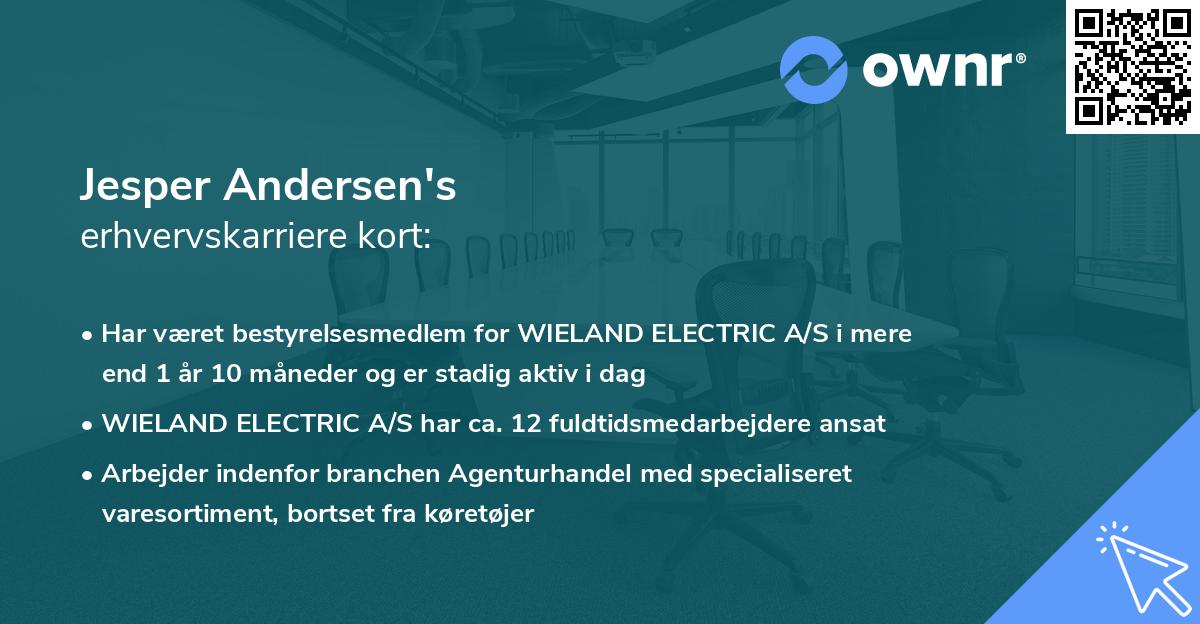 Jesper Andersen's erhvervskarriere kort