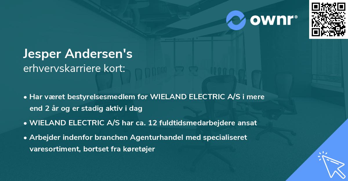 Jesper Andersen's erhvervskarriere kort