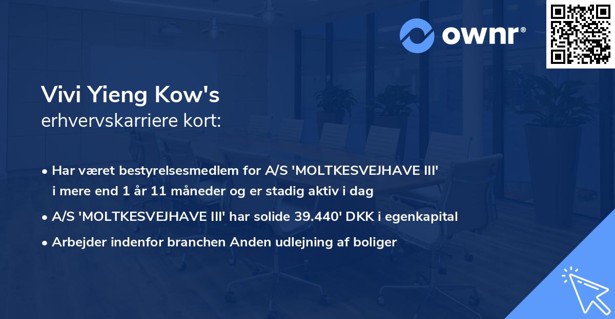 Vivi Yieng Kow's erhvervskarriere kort