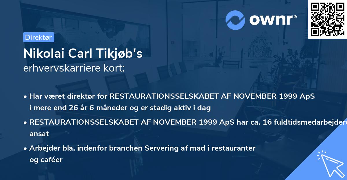 Nikolai Carl Tikjøb's erhvervskarriere kort