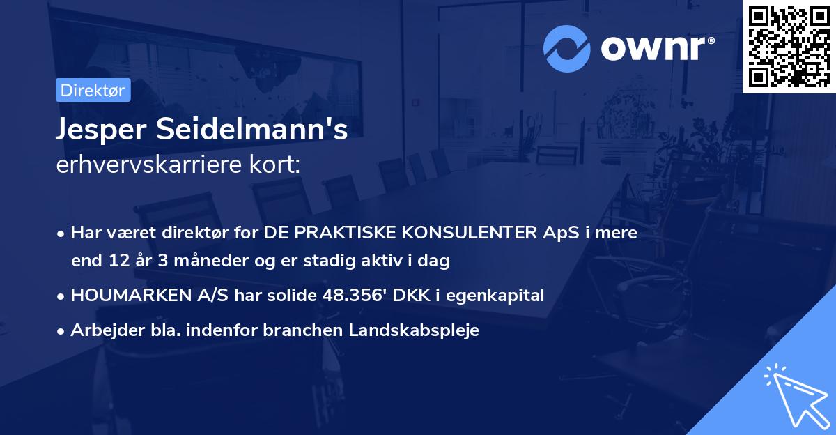 Jesper Seidelmann's erhvervskarriere kort