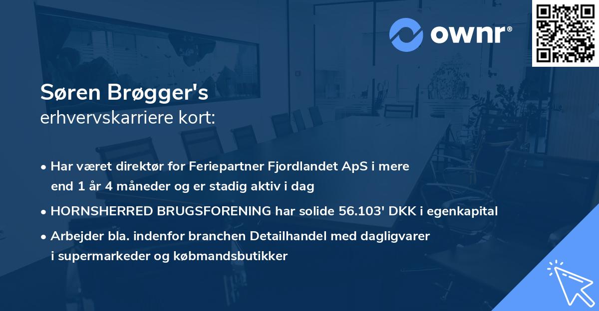 Søren Brøgger's erhvervskarriere kort