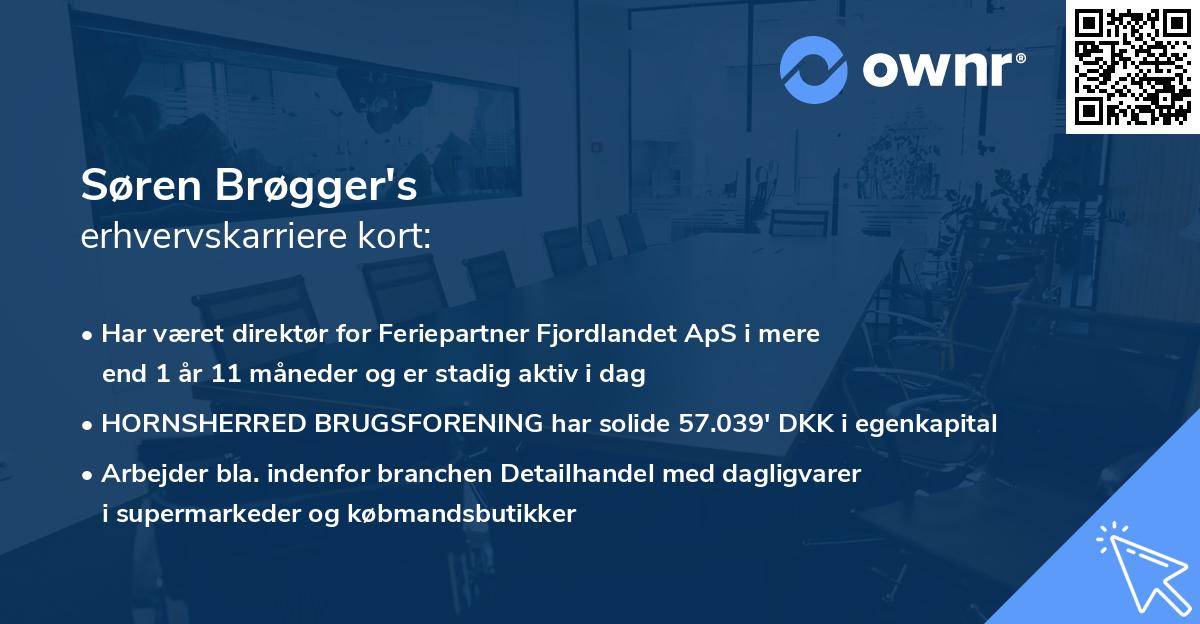 Søren Brøgger's erhvervskarriere kort