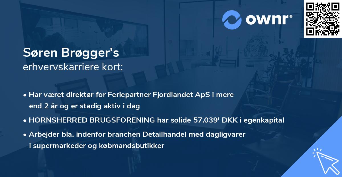 Søren Brøgger's erhvervskarriere kort
