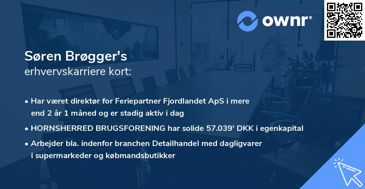 Søren Brøgger's erhvervskarriere kort