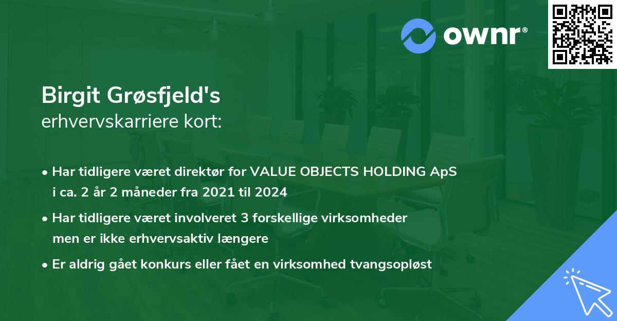 Birgit Grøsfjeld's erhvervskarriere kort