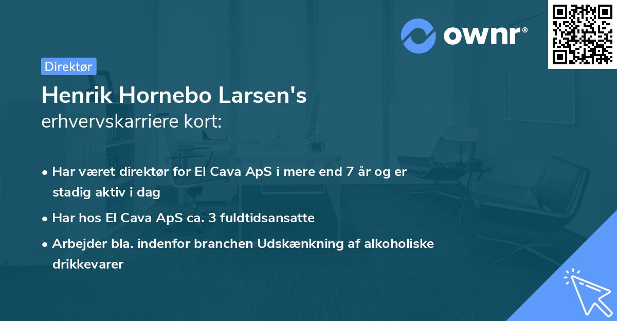 Henrik Hornebo Larsen's erhvervskarriere kort