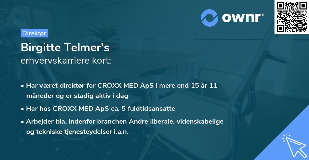Birgitte Telmer's erhvervskarriere kort