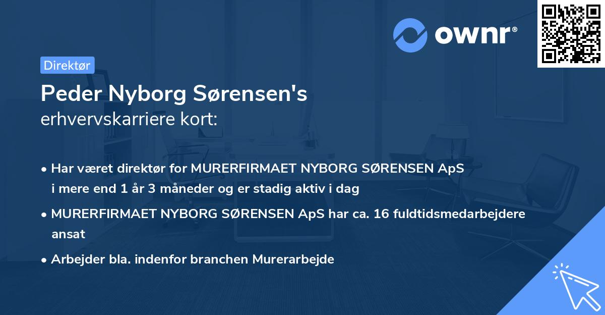 Peder Nyborg Sørensen's erhvervskarriere kort
