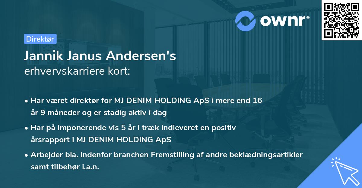 Jannik Janus Andersen's erhvervskarriere kort